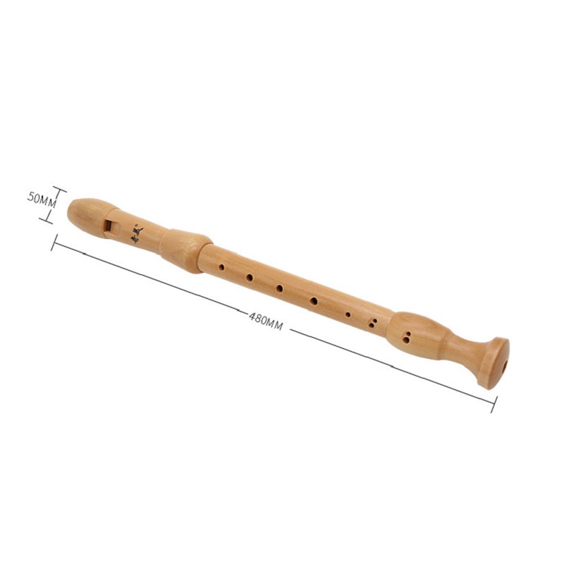 Qimei-grabador Alto de 8 aguje - Musical Instrument German reseña y precio