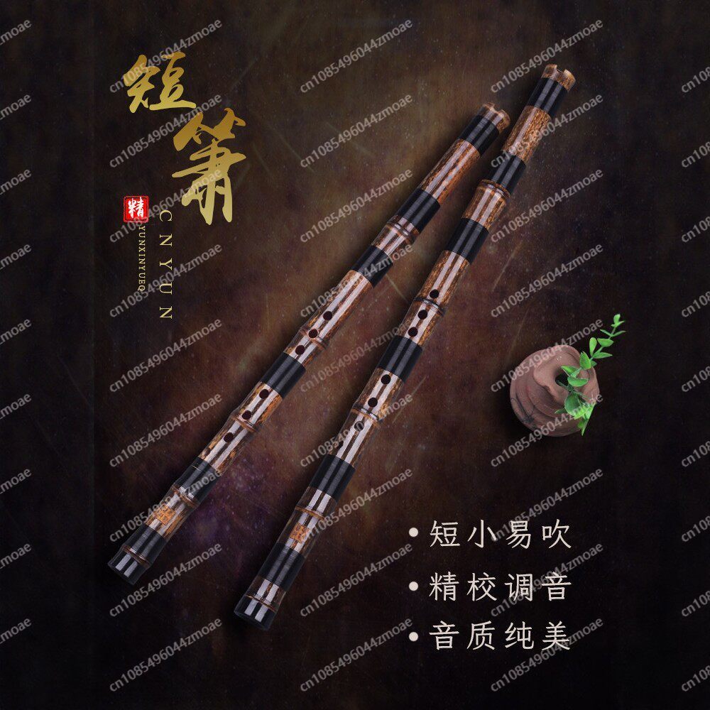 Flauta profesional de bambú de - Musical Instrument That You Blow Into reseña y precio