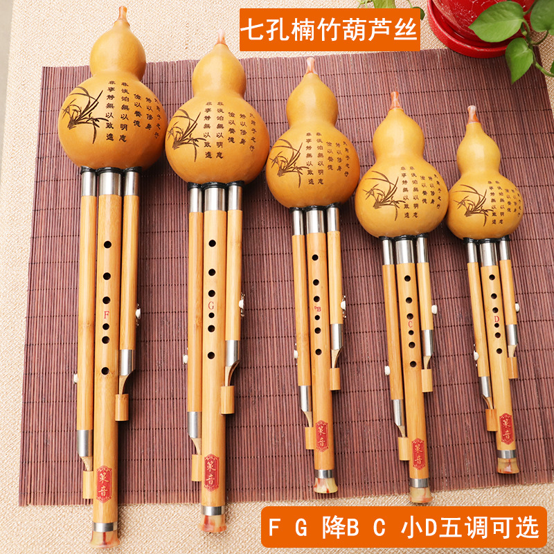 Instrumento musical de seda de - Musical Instrument That You Blow Into reseña y precio