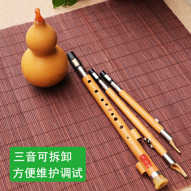 Instrumento musical de seda de - Musical Instrument That You Blow Into reseña y precio